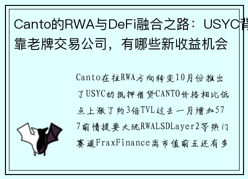 Canto的RWA与DeFi融合之路：USYC背靠老牌交易公司，有哪些新收益机会？